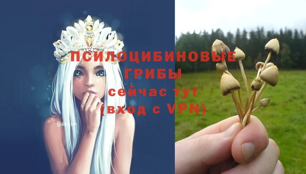 не бодяженный Богородицк