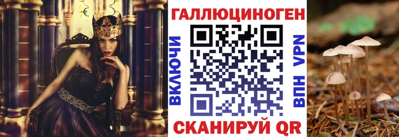 наркошоп Мышкин Галлюциногенные грибы Magic Shrooms
