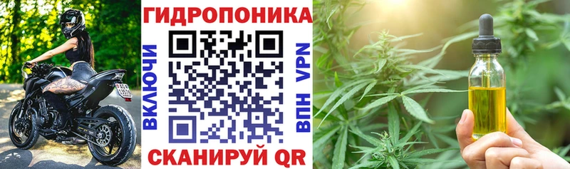 Шишки марихуана SATIVA & INDICA omg как войти Мышкин как найти закладки